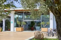 Seaclub Alcudia - Pet friendly