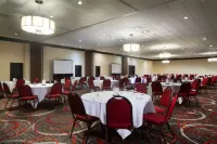 Holiday Inn Corpus Christi Arpt & Conf Ctr by IHG Hotels in Corpus Christi