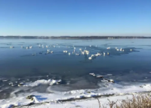 在Glücksburg看海景的公寓，有陽台，靠近海灘