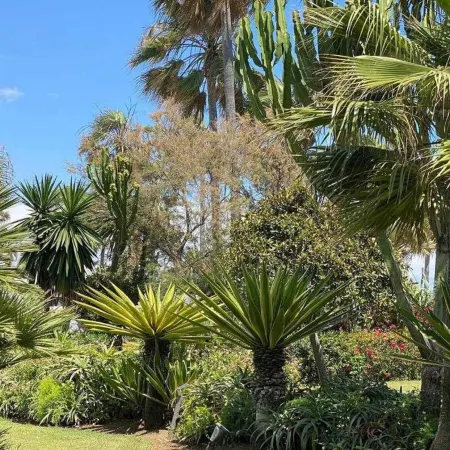Studio in Estepona Near Sandy Beach