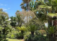 Studio in Estepona Near Sandy Beach