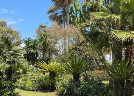 Studio in Estepona Near Sandy Beach Отели в г. Эль Параисо