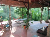 Cascada Verde Eco Lodge & Hostel Hotels near Aussicht- Uvita