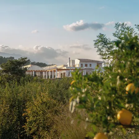 Zem Wellness Clinic Altea - 5 Stars Grand Luxury