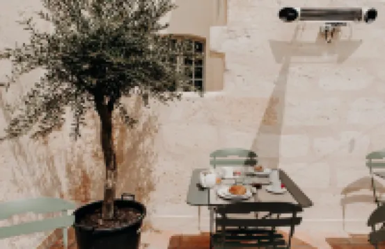 เมซง แฟร์นองด์