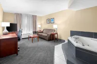 Comfort Inn University Area