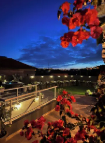 ミゲルズ シービュー コーナー