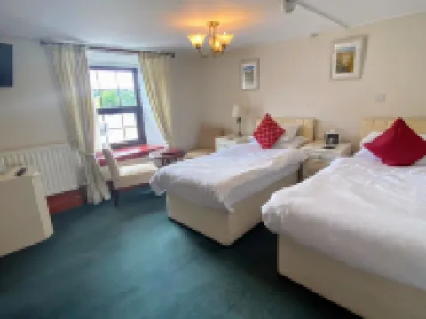 Flambards Hotel Hotels in Cardigan