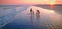 Hidden Gem on Seabrook Island-visit our fabulous beaches on this magical island!