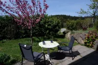 Quiet vacation apartment in the southern Black Forest, 10 minutes from St. Blasien Hotels in Dachsberg