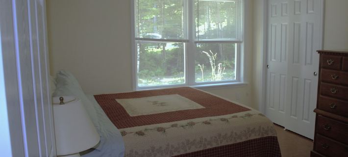 埃爾斯沃思緬因布蘭奇湖湖畔林中小木屋度假屋 埃爾斯沃思住宿飯店