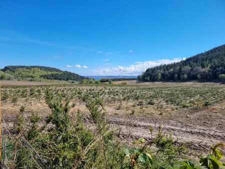 Peaceful Highland Country Cottage