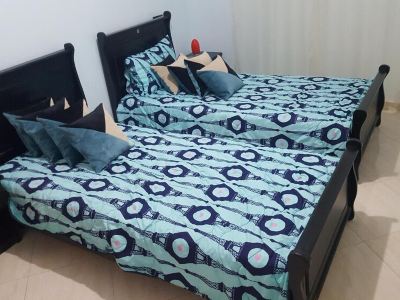 Familiar high-end apartment in downtown Oujda