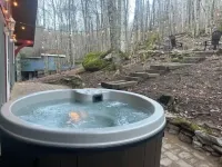 The Bear Dance Chalet