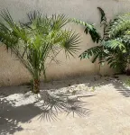 Perla Bianca Hotel a Lizzano