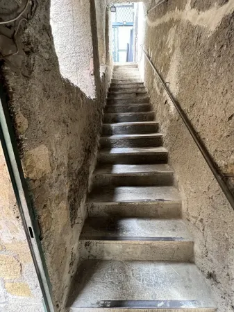 Azalea in the heart of Herculaneum