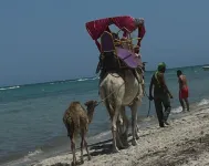 House for rent in Djerba Midoune - Biệt thự