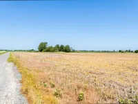 "Eliane" - 1.8km from the Sea Hotels in Bogense