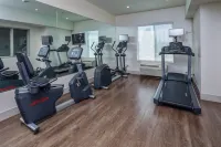 智選假日套房飯店莫德斯托，薩利達 - 健身房
