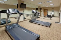 Holiday Inn Express & Suites BUFFALO by IHG - Gym
