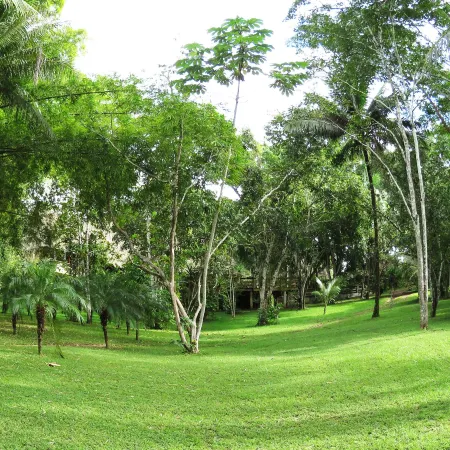Crystal Paradise Resort