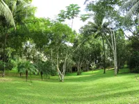 Crystal Paradise Resort Hotels in 