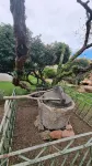 B&B Domuseo