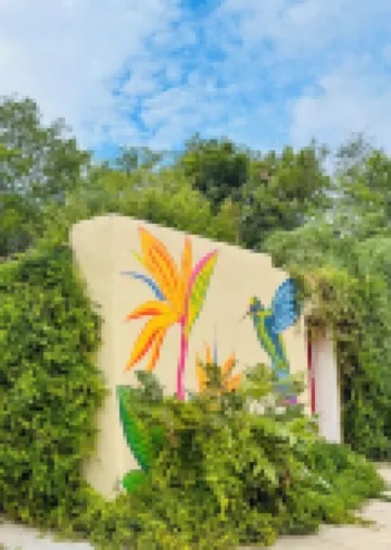 Cottage Casita on an Orchard. No parties nor gatherings.