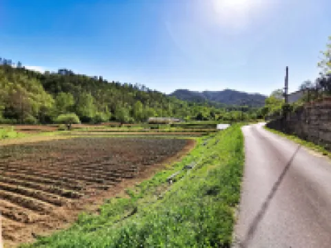 Melabruna, Relax in the hills 15' from the 5 Terre Hotels in Pignone