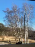 Lodge Kent - Mountain View