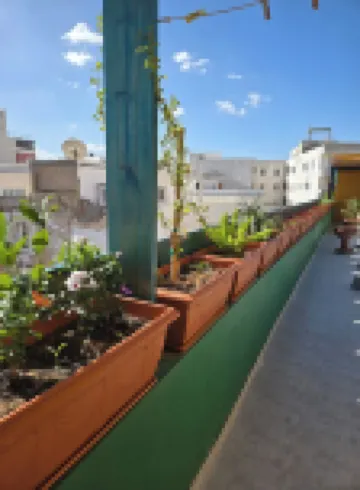 Cozy 1-bedroom Apartment in Sousse With Outdoor Kitchen and Balcony