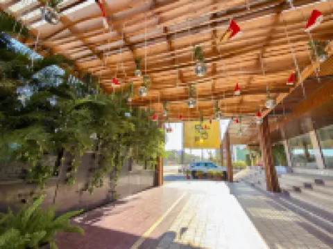 パパヤツリーホテルズ