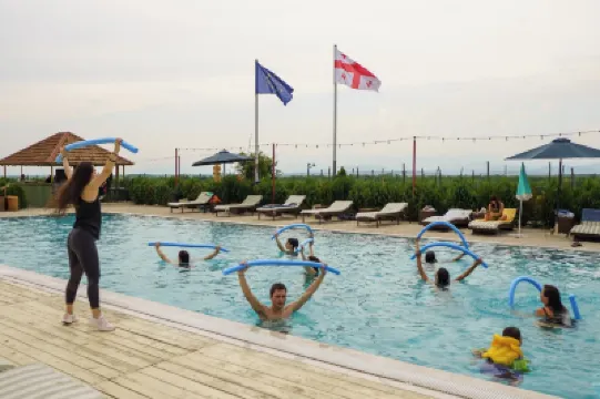 Chateau Vartsikhe Hotels in 