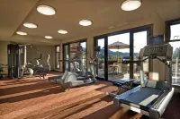 Evolution Whistler - Gym