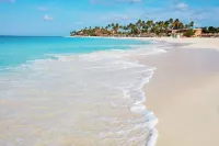 Divi Dutch Village Beach Resort - Strand