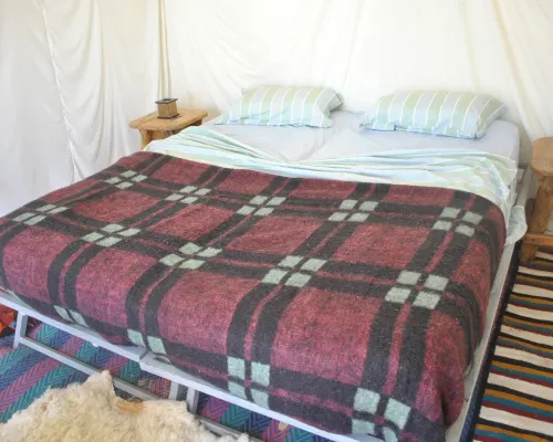 Campement Sahara Oasis Douz Hotels in Douz
