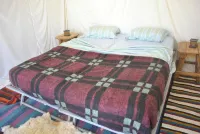 Campement Sahara Oasis Douz - 2-Star