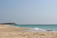 La Floristería Zahora - Beach