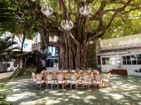 Fairmont El San Juan Hotel - bar