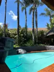 Koi LIV-Inn - Pools