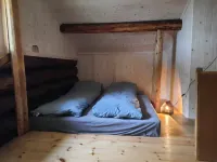 Cottage in the forest - 2-Star