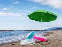 瀬波溫泉旅社 - 海景