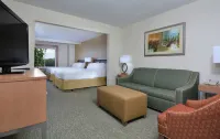 Holiday Inn Express & Suites HIGH POINT SOUTH by IHG - WiFi