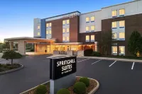 SpringHill Suites Dayton Vandalia - spa