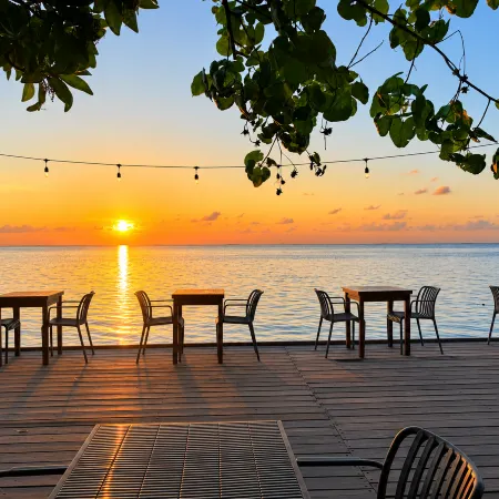 Rashu Hiyaa