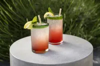 Dr Wilkinsons Backyard Resort and Mineral Springs a Member of Design Hotels - bar