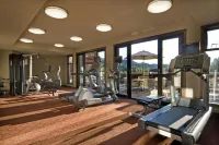 Evolution Whistler - palestra