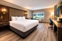 Verta Hotel McAllen - bar