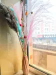 Chicheng Lvyou Zhijia Youth Hostel - Hostels