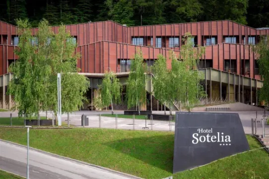 ウェルネス ホテル ソテリア - テルメ オリミア